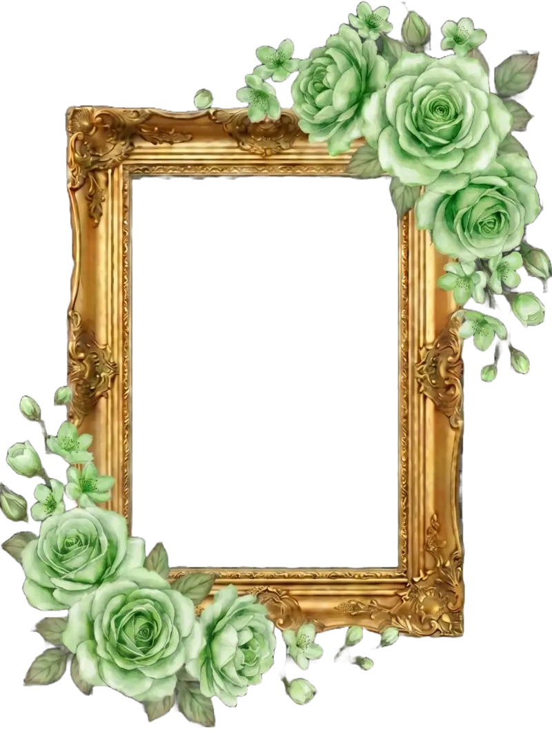 Frame
